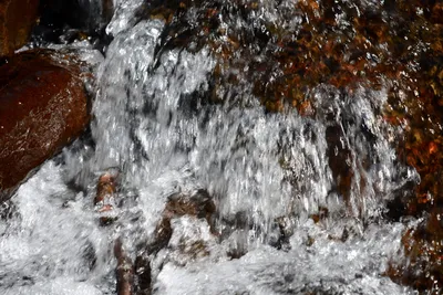 DSC_9899 (Large).JPG